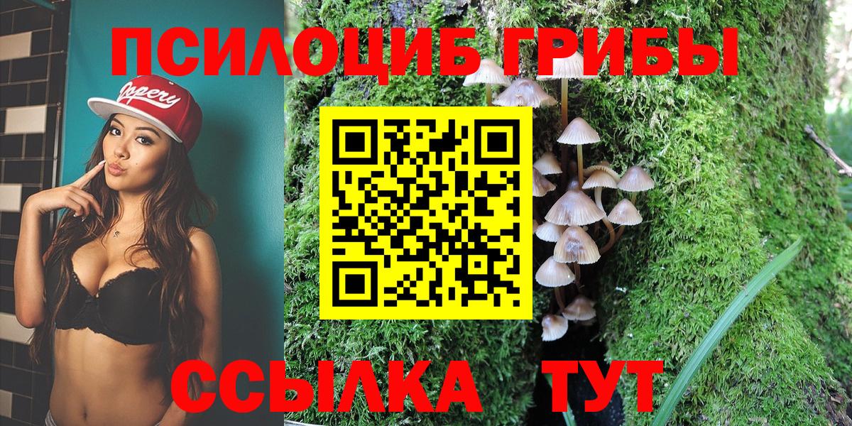 Псилоцибиновые грибы Psilocybine cubensis Екатеринбург